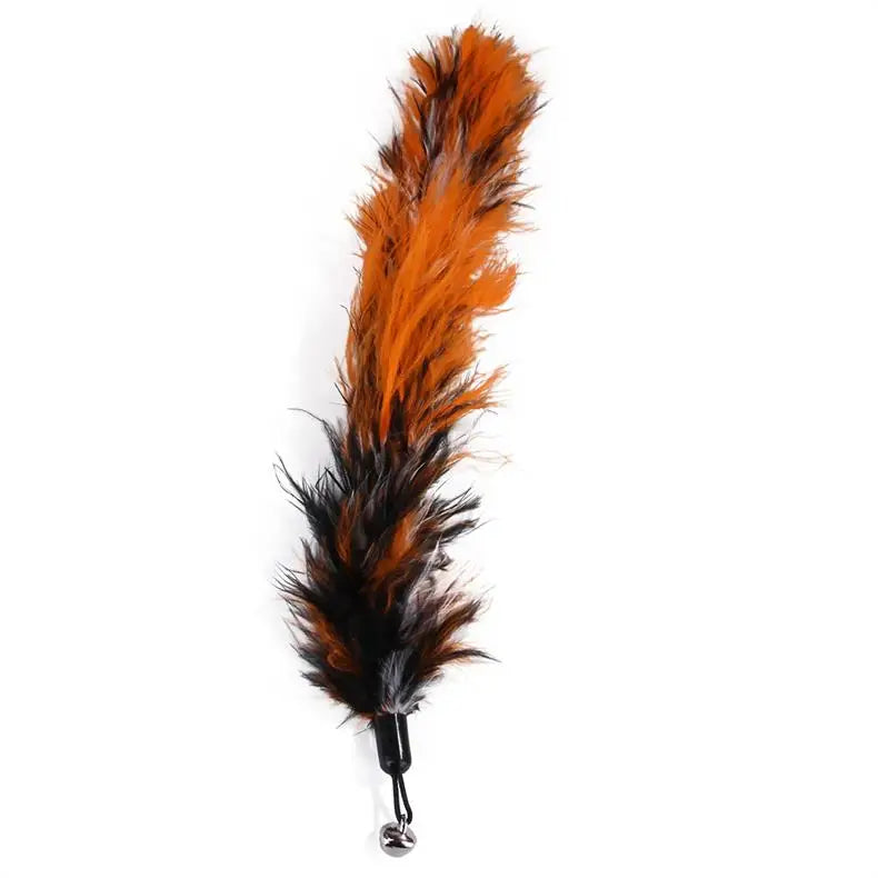 Cat Feather Toy Set