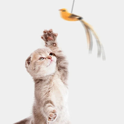 Simulated Bird Cat Toy