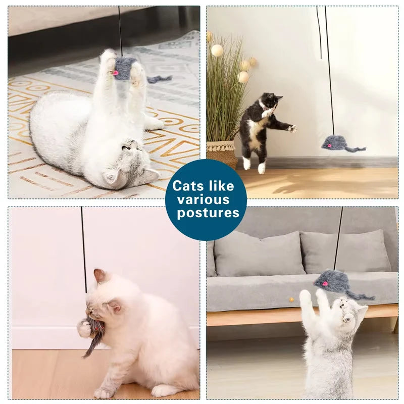 Retractable Cat Feather Toy