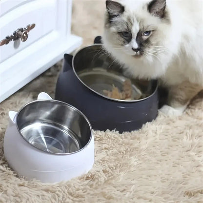 Cat Bowl Food Drinking