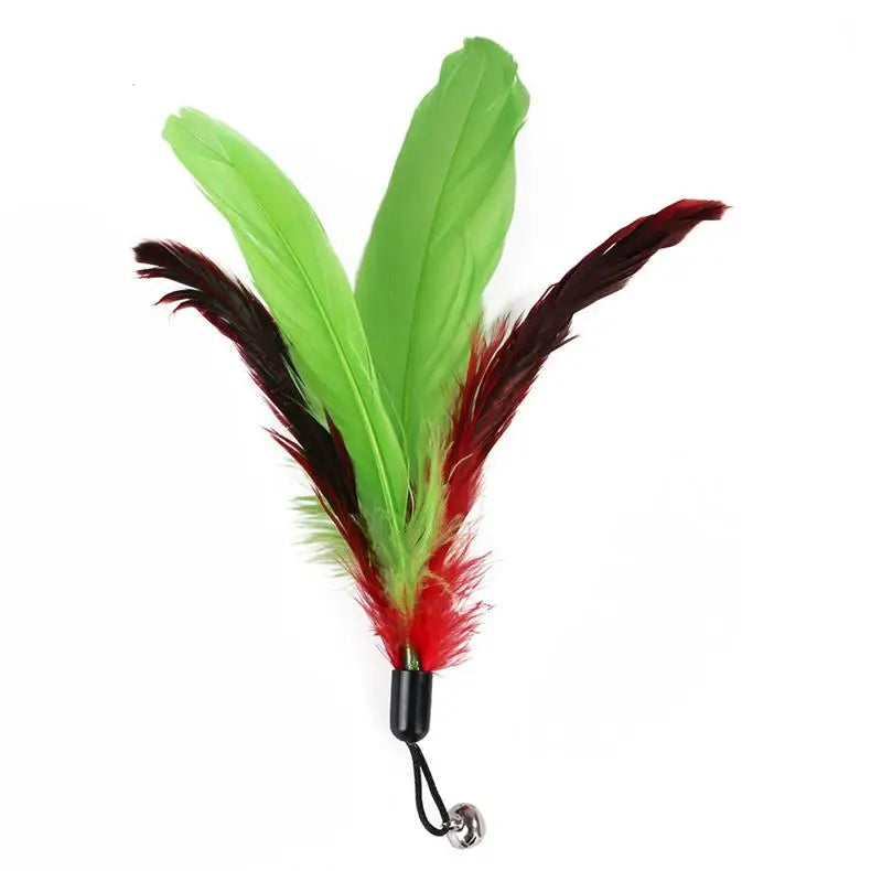 Cat Feather Toy Set