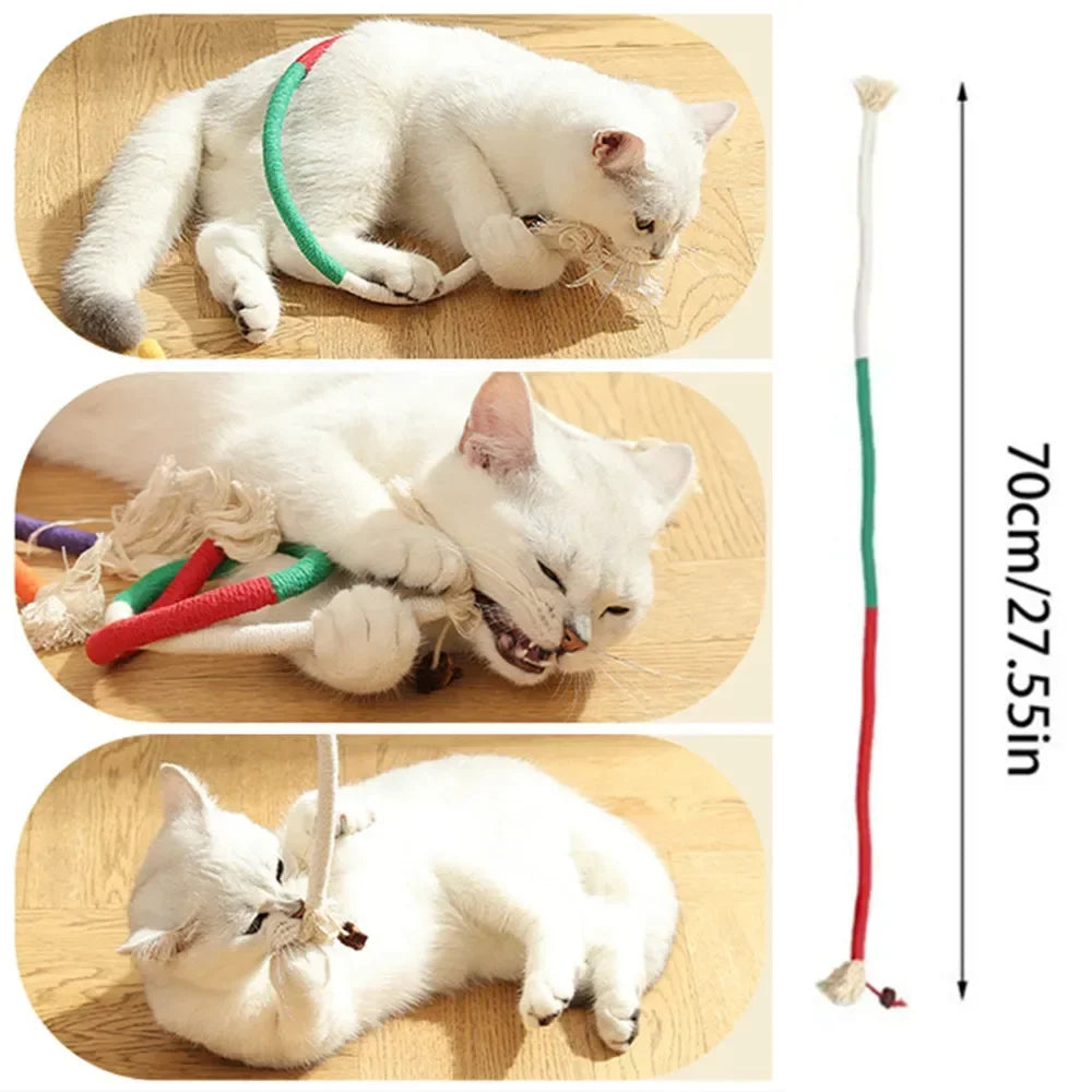 Cat Toys Interactive Molar Cotton Rope