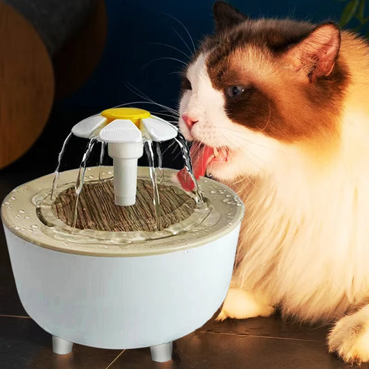 Cats Water Fountain