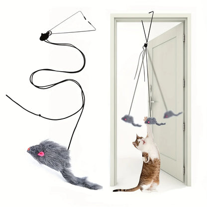 Door Hanging Cat Toy