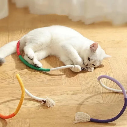 Cat Toys Interactive Molar Cotton Rope