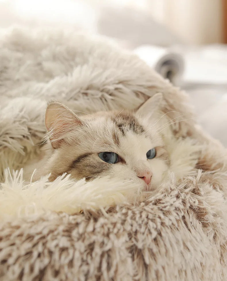 Autumn and Winter soft plush Cat bed