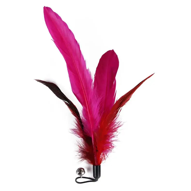 Cat Feather Toy Set