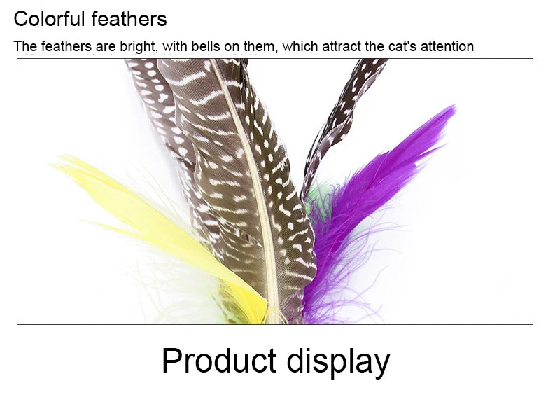 Cat Feather Toy Set