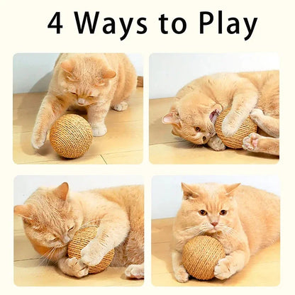 Cat Scratching Ball