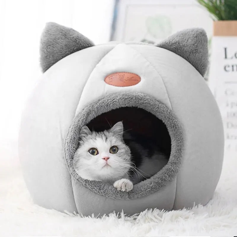 Cat Head Shape Cute House