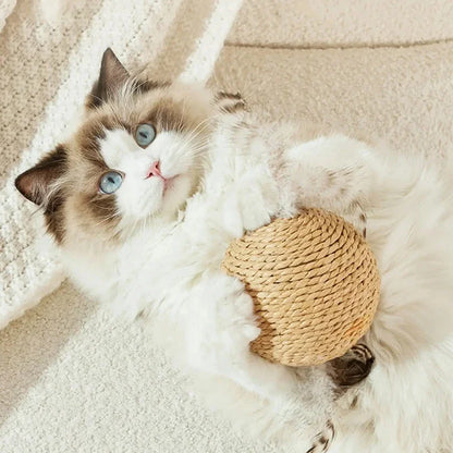 Cat Scratching Ball