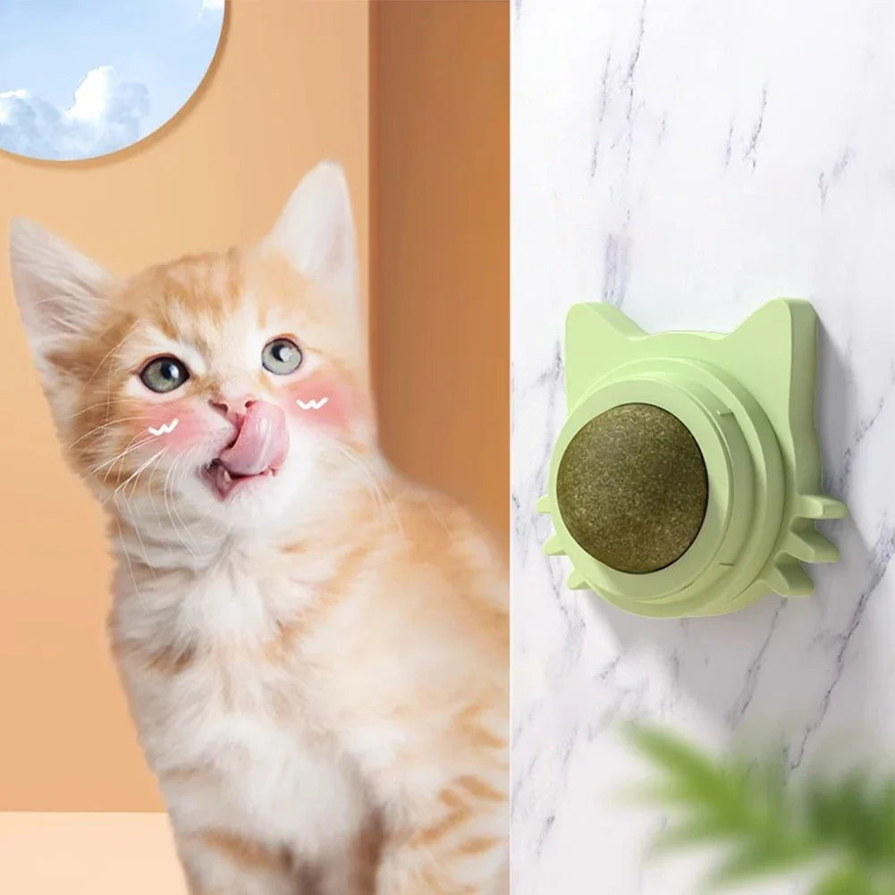 Rotatable Kitten Chew Toy