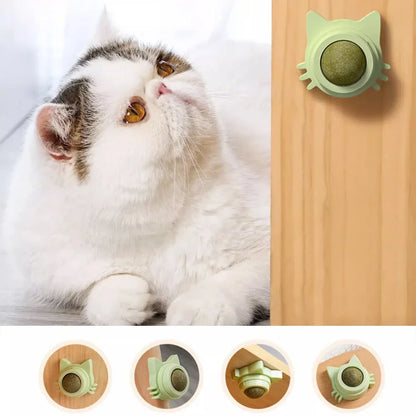 Rotatable Kitten Chew Toy