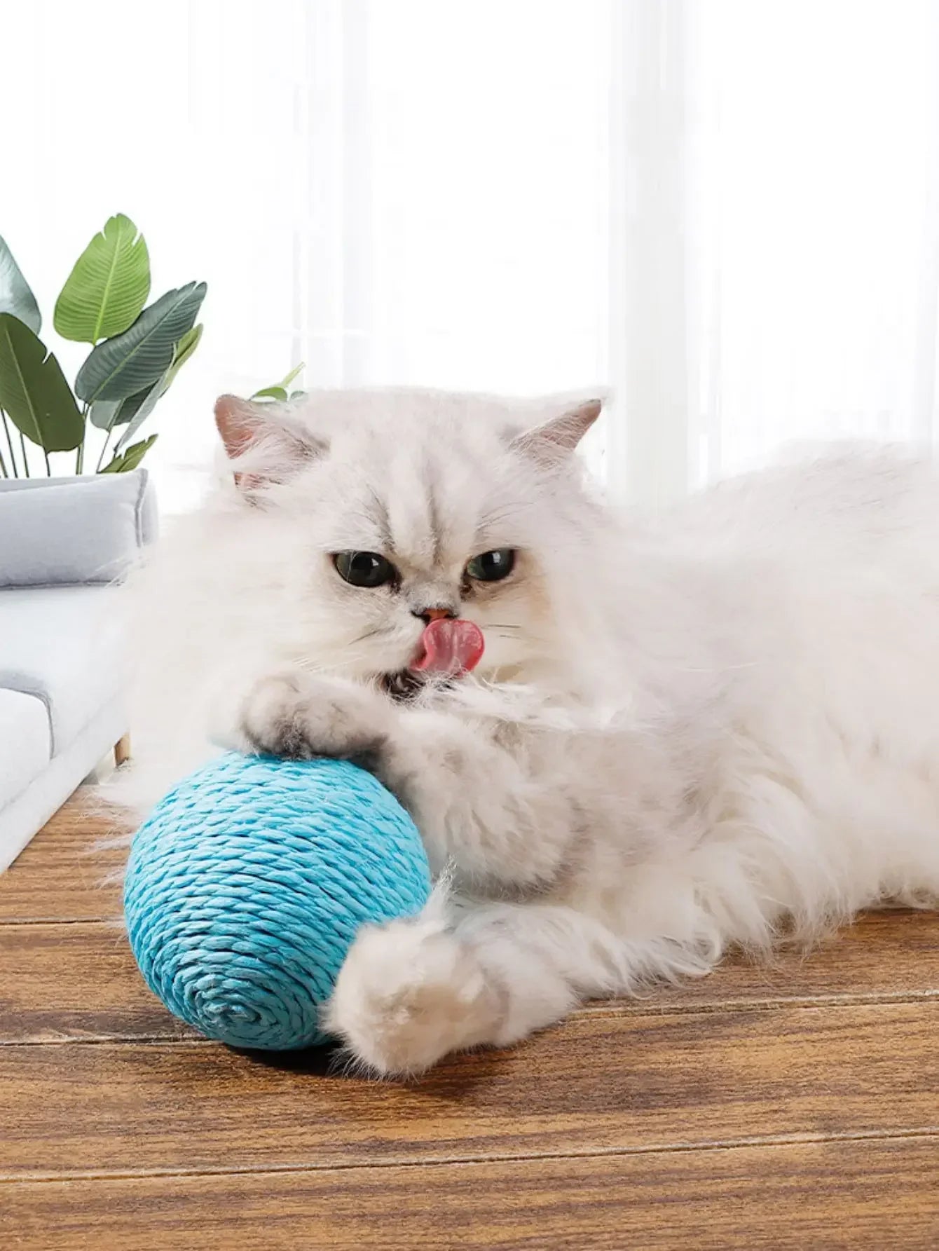 Cat Scratching Ball